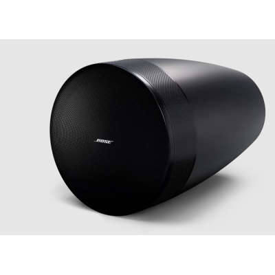 Двухполосная подвесная акустическая система