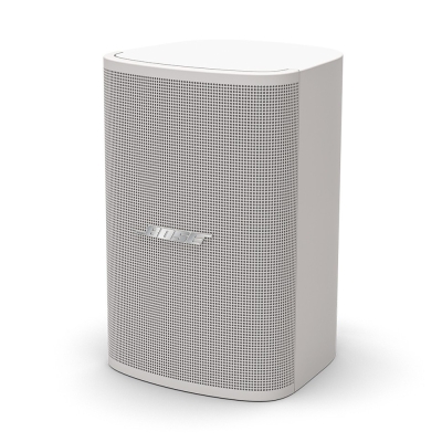 Настенная двухполосная акустическая система